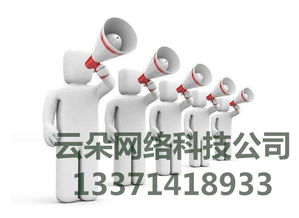 云朵網(wǎng)絡(luò) 專業(yè)SEO優(yōu)化外包服務(wù)，科技賦能網(wǎng)絡(luò)營銷推廣