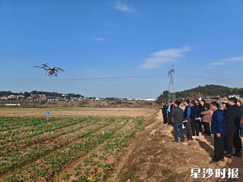 科技搭橋 精準護苗 數字化時代的青少年成長護航新路徑
