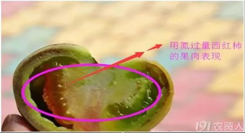 氮磷鉀缺失 谷類與薯類作物癥狀差異解析及科學應對策略